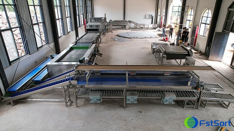 Sweet-Potatoes-Washing-Drying-Sorting-Sizing-Packing-Line Sweet-Potatoes-Washing-Drying-Sorting-Sizing-Packing-Line