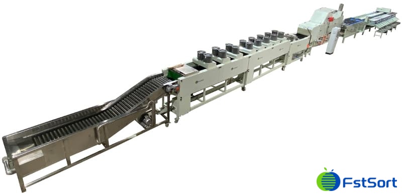 fruit washing drying waxing grading line fruit washing drying waxing grading line