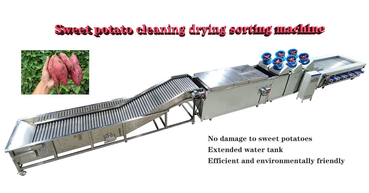 sweet-potato-grading-machine