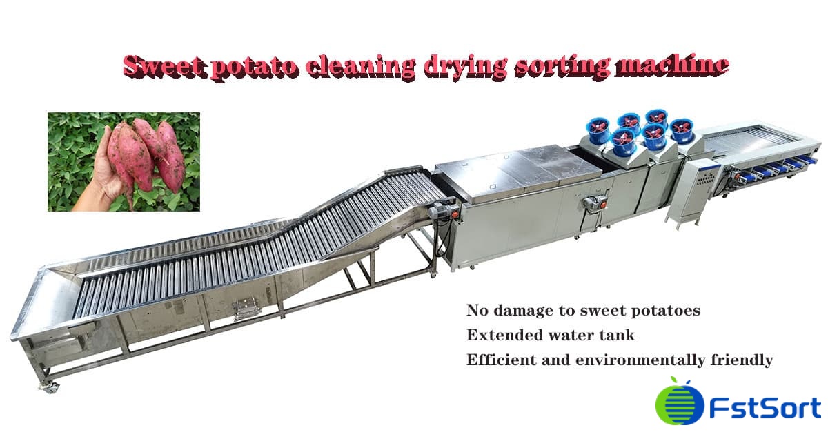 sweet-potato-grading-machine sweet-potato-grading-machine