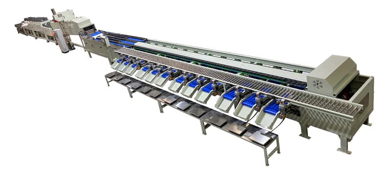 avocado-washing-drying-waxing-sorting-line