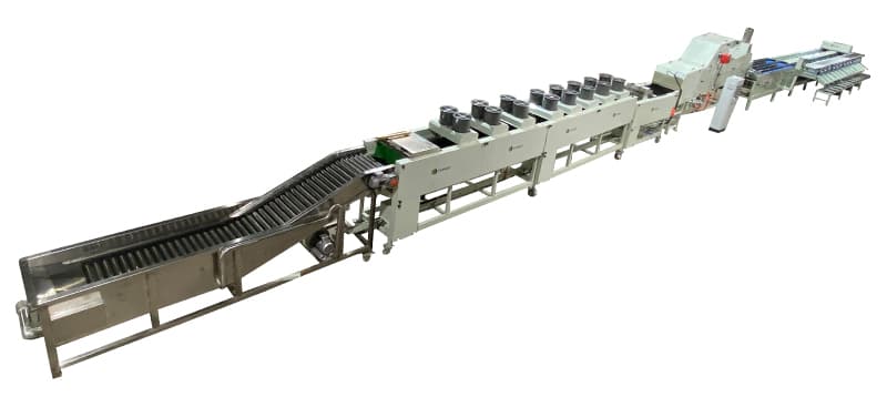 fruit-cleaning-drying-waxing-grading-line
