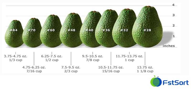 https://fruitprocess-media.irematch.com/images/1629187336049avocados.jpg?x-oss-process=image%2Fauto-orient%2C1%2Fwatermark%2Cimage_aW1hZ2VzL3dhdGVyLWxvZ28ucG5nP3gtb3NzLXByb2Nlc3M9aW1hZ2UvcmVzaXplLFBfMjA%2Cx_10%2Cy_10&utm_source=chatgpt.com
