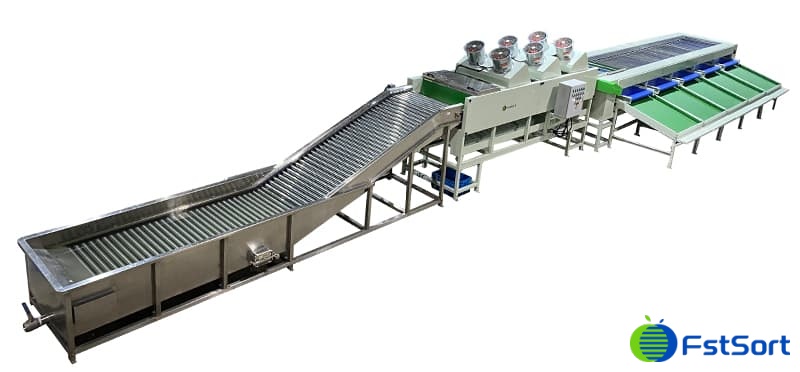 máquina-de-clasificación-de-secado-de-lavado-de-pimiento máquina-de-clasificación-de-secado-de-lavado-de-pimiento