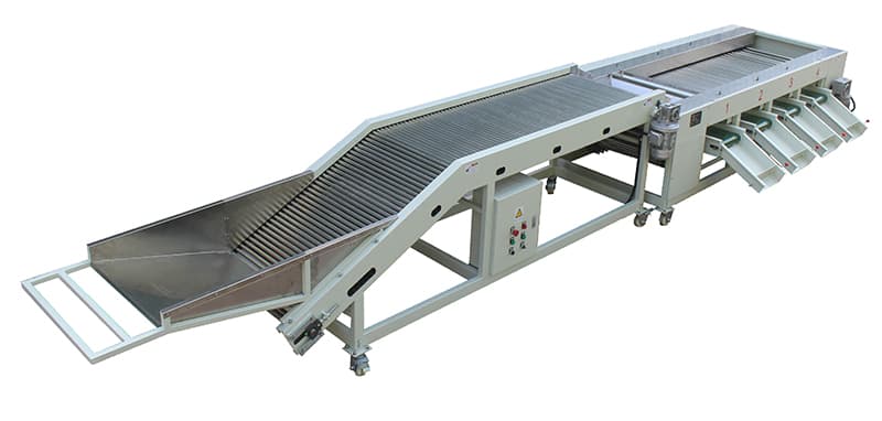Stainless Steel Date Sizer