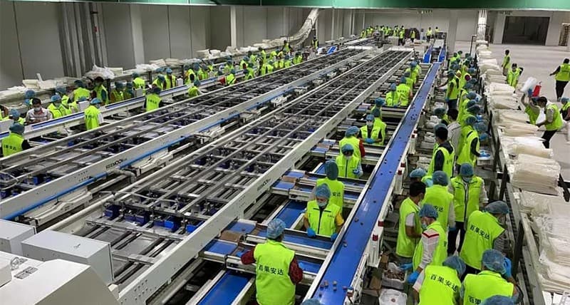 Prune-sorting-and-packing-line