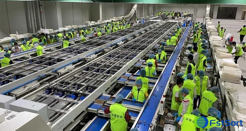 Prune-sorting-and-packing-line Prune-sorting-and-packing-line