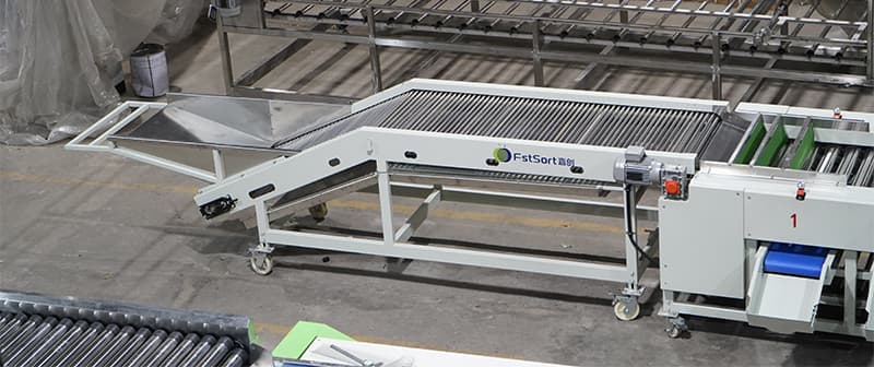 clasificadora-de-fechas