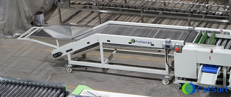 clasificadora-de-fechas clasificadora-de-fechas