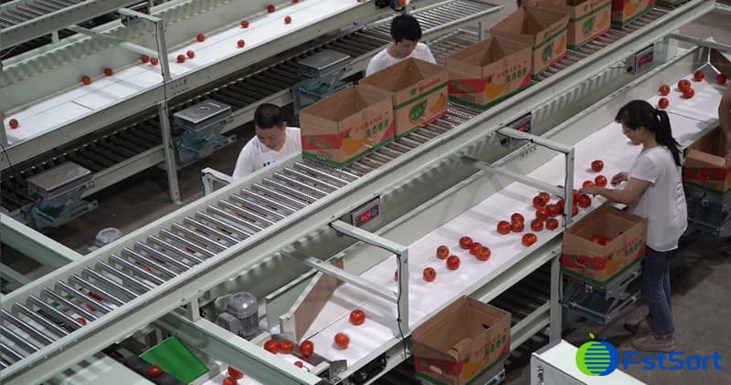 fruit-grading-packing-machine fruit-grading-packing-machine