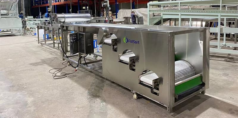 clasificadora-de-arándanos