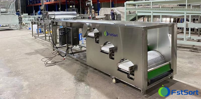 clasificadora-de-arándanos clasificadora-de-arándanos