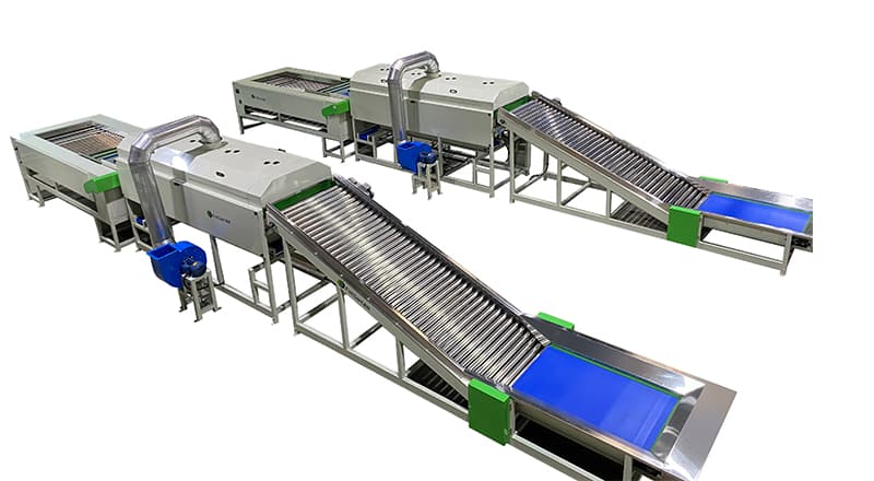 potato-sorting-machine