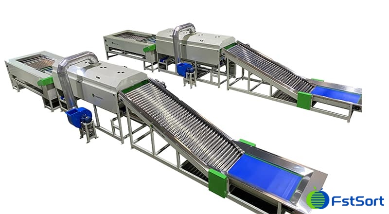 potato-sorting-machine potato-sorting-machine