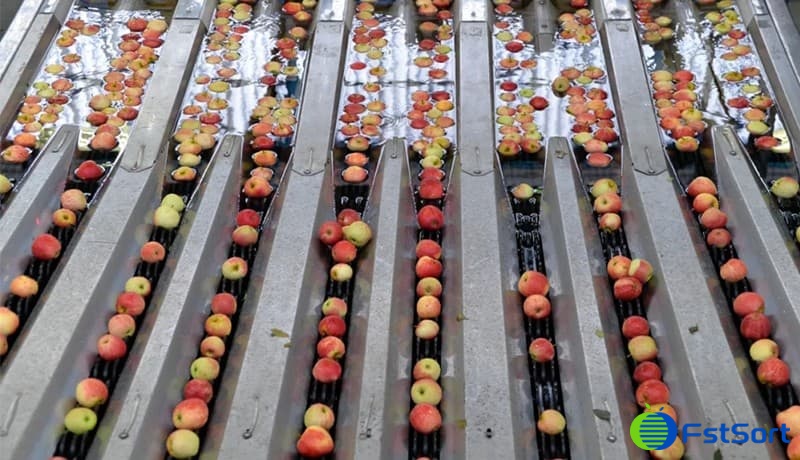 apple-processing apple-processing