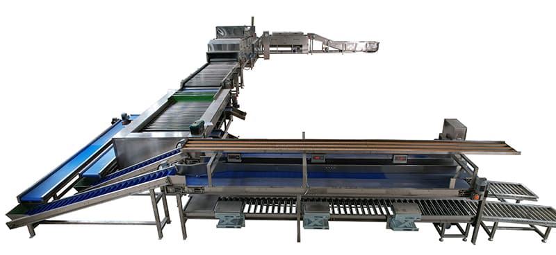 sweet-potato-washing-drying-grading-line