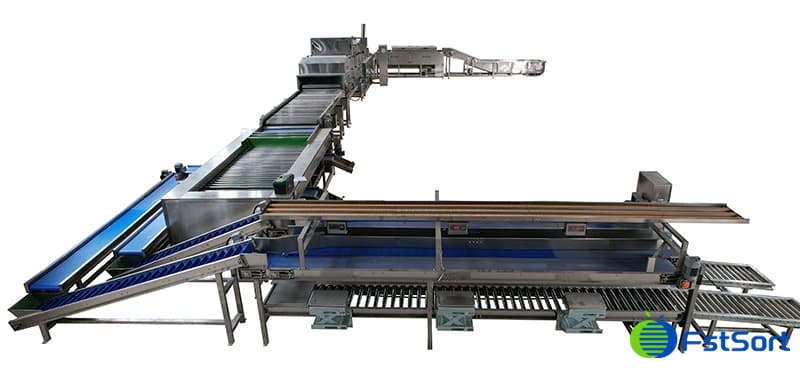sweet-potato-washing-drying-grading-line sweet-potato-washing-drying-grading-line