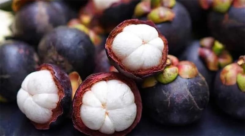 mangosteen