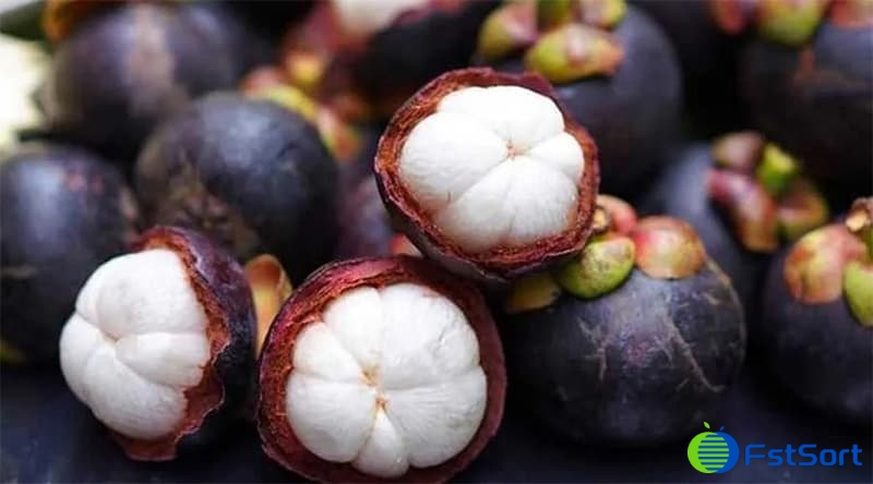 mangosteen mangosteen