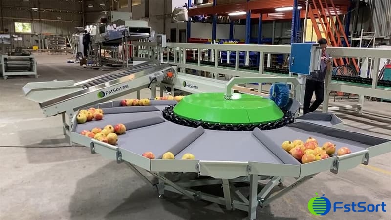 Clasificador-de-granada Clasificador-de-granada