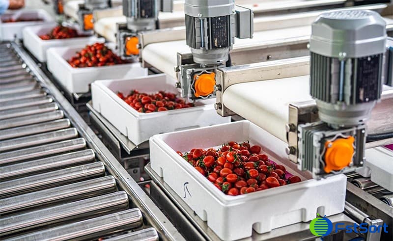 cherry-tomato-packing cherry-tomato-packing