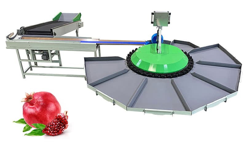 Pomegranate-grader