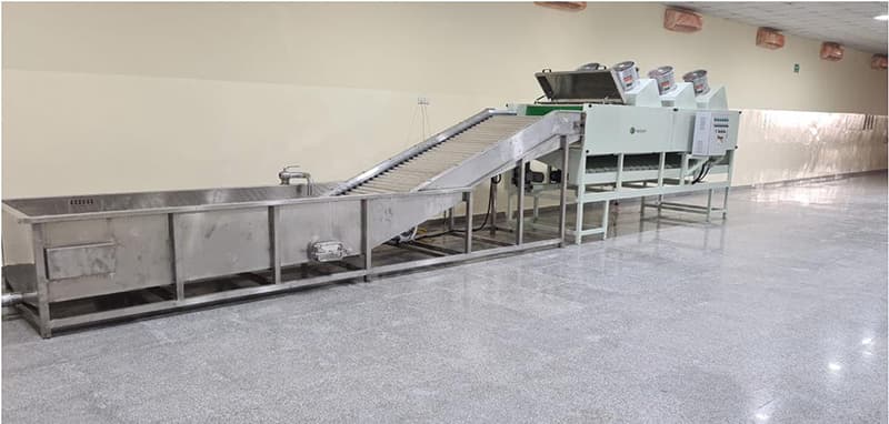 bell-pepper-cleaning-drying-machine