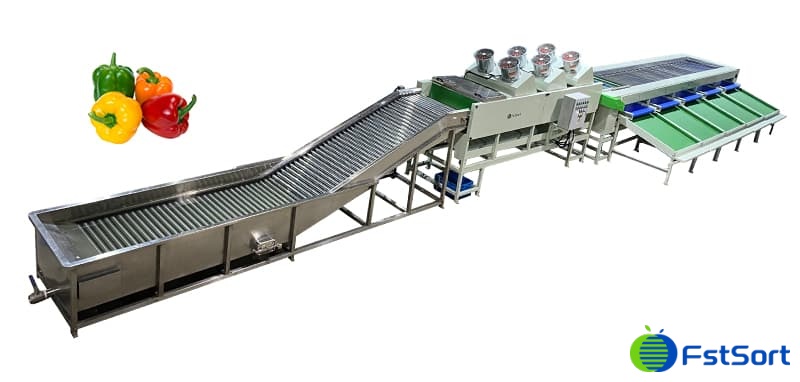 bell-pepper-cleaning-drying-grading-packing-line bell-pepper-cleaning-drying-grading-packing-line