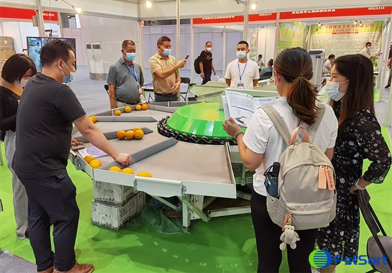 Fruit-Exhibition Fruit-Exhibition