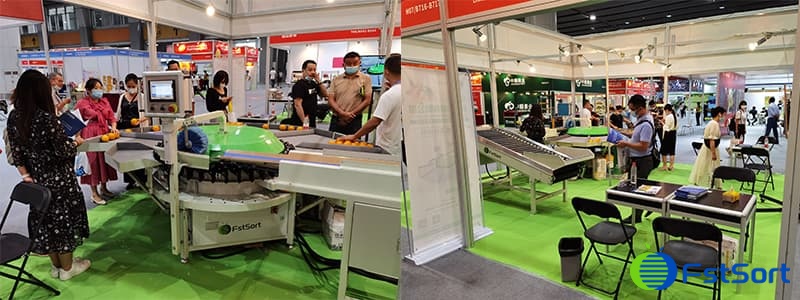 Fruit-and-Vegetable-Exhibition Fruit-and-Vegetable-Exhibition