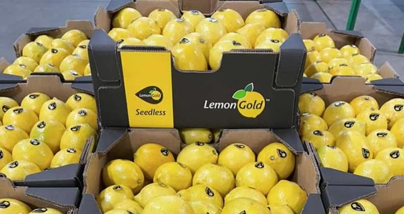 Seedless lemons