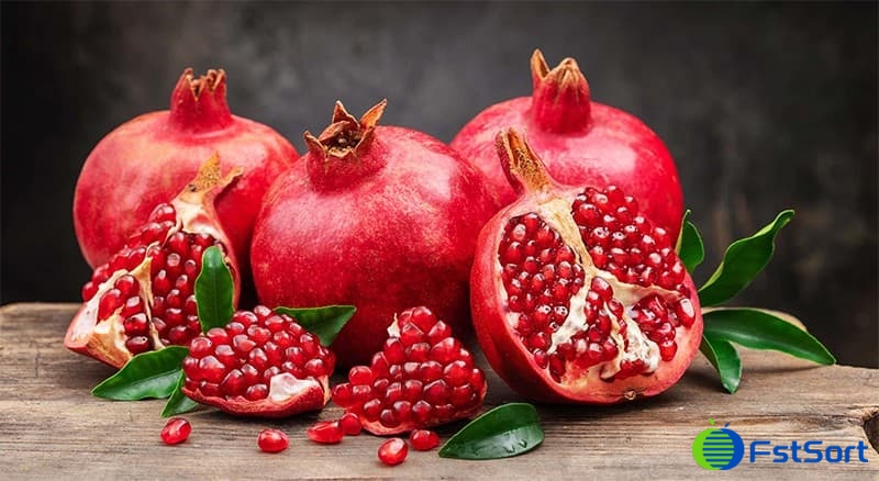 pomegranate pomegranate