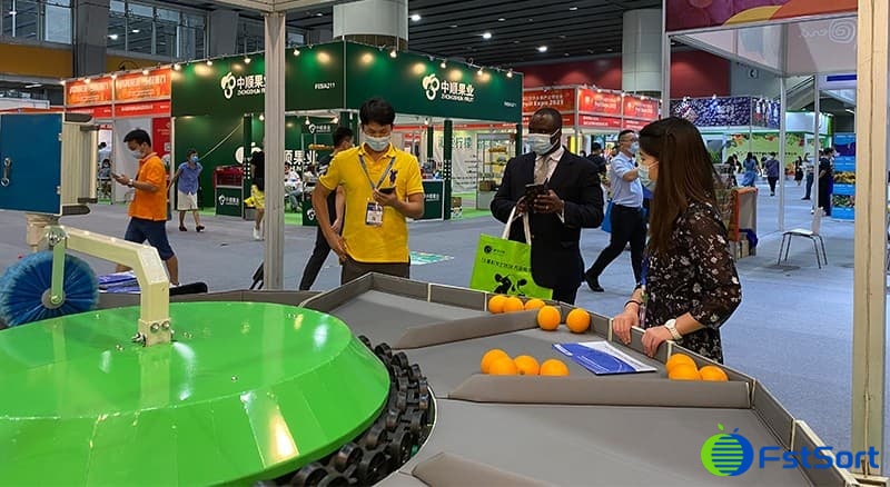 clasificadora de frutas clasificadora de frutas