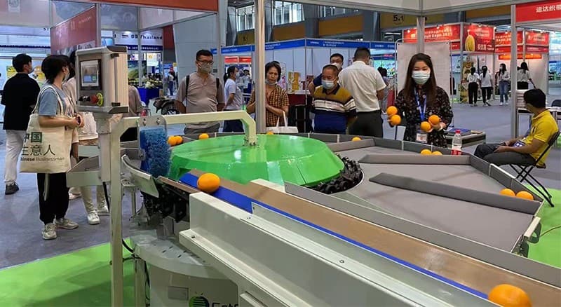 clasificadora de frutas