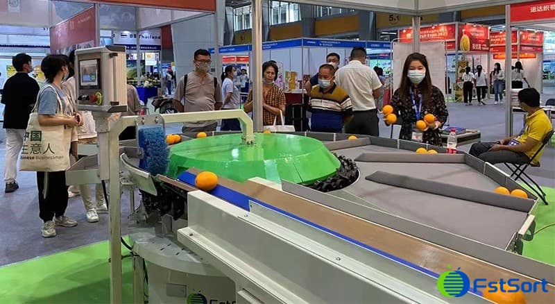 clasificadora de frutas clasificadora de frutas