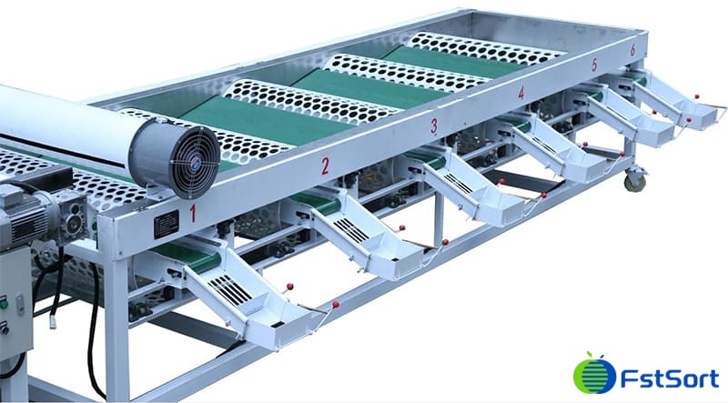 garlic-sizer garlic-sizer