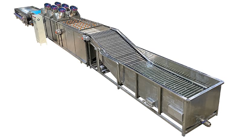 carrot-washing-drying-grading-line