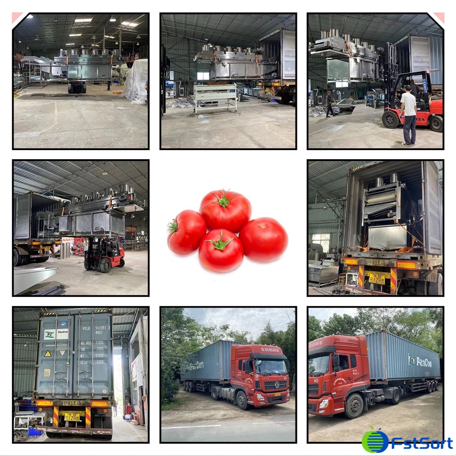 tomato-cleaning-sorting-line tomato-cleaning-sorting-line