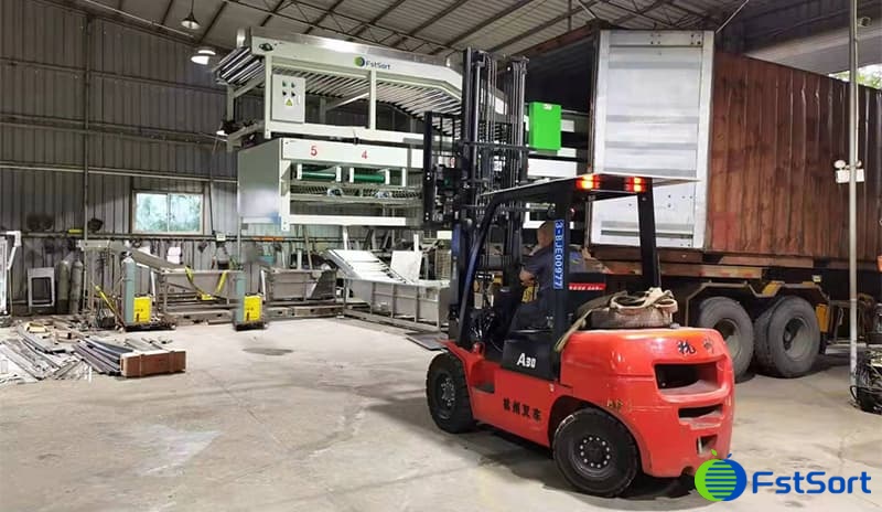 clasificadora-de-tomate clasificadora-de-tomate