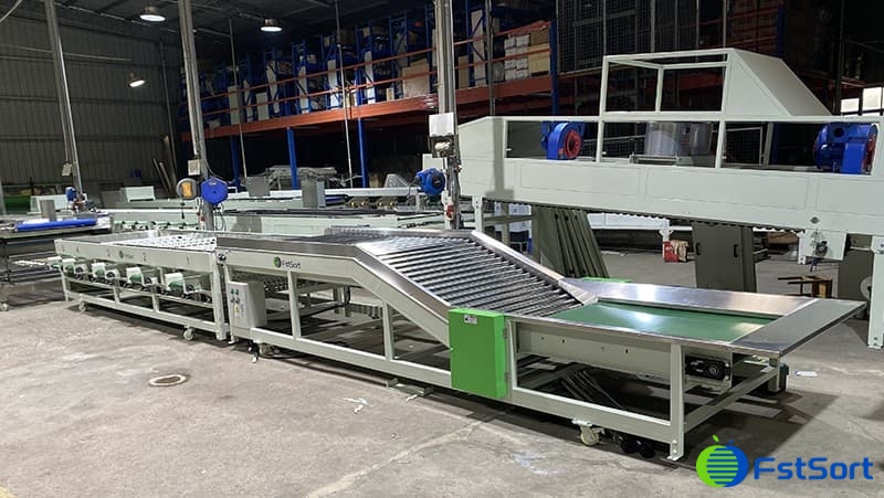 clasificador-de-tomate clasificador-de-tomate