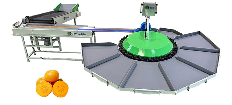 persimmon-sorting-grading--machine