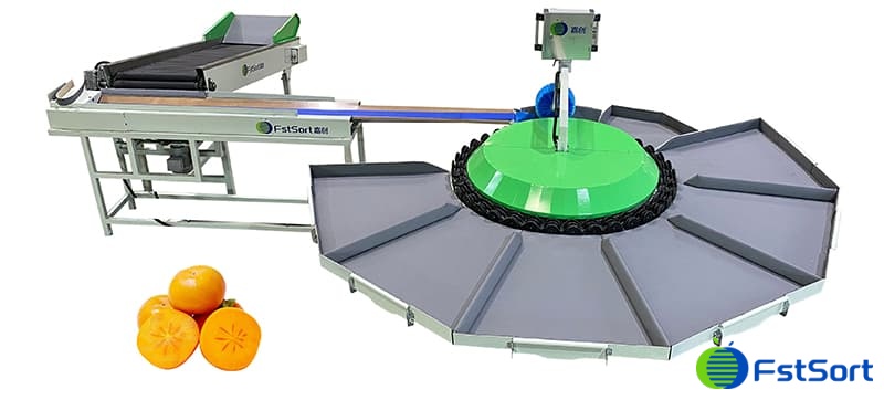 persimmon-sorting-grading--machine persimmon-sorting-grading--machine