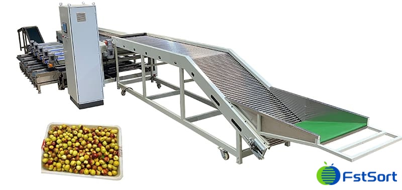 jujube-sorting-packing-line jujube-sorting-packing-line