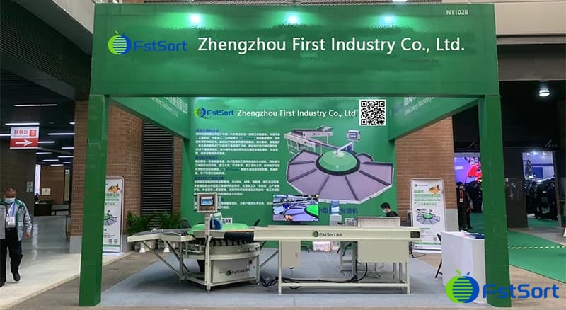 clasificadora-de-la-clasificación-de-la-fruta clasificadora-de-la-clasificación-de-la-fruta