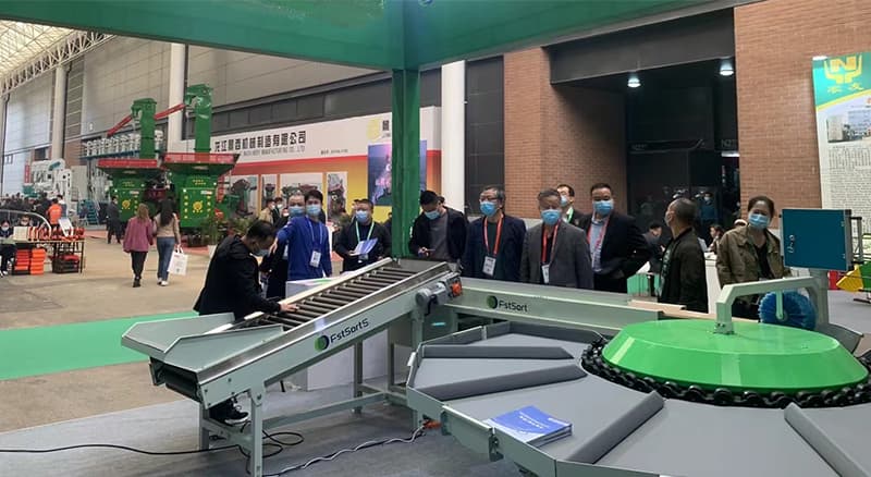 clasificadora-de-la-clasificación-de-la-fruta