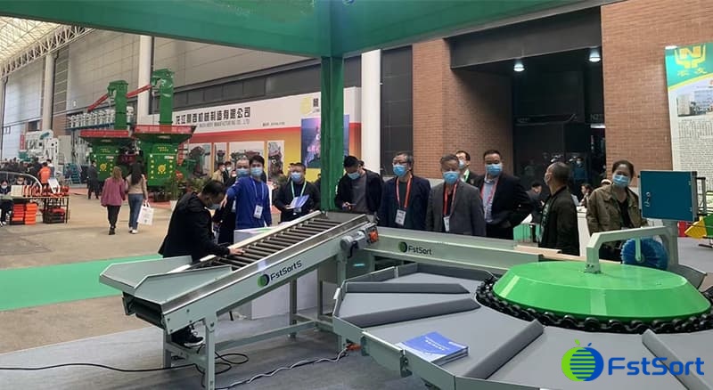 clasificadora-de-la-clasificación-de-la-fruta clasificadora-de-la-clasificación-de-la-fruta