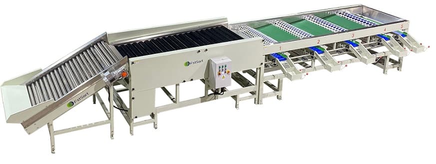 garlic cleaning sorting machine