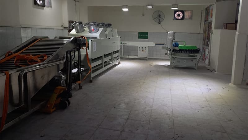 Máquina-limpiadora-y-clasificadora-de-cítricos