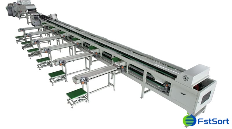potato-sorting-packing-line potato-sorting-packing-line