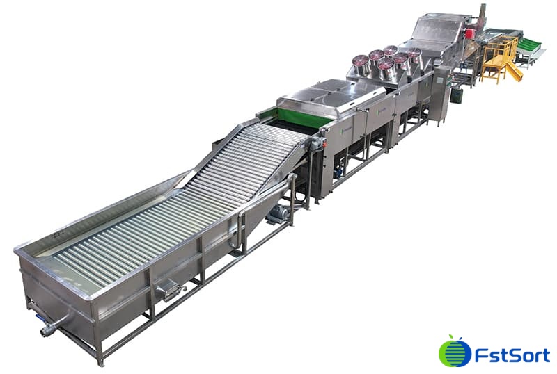 línea-de-empaquetado-de-la-clasificación-de-la-batata línea-de-empaquetado-de-la-clasificación-de-la-batata